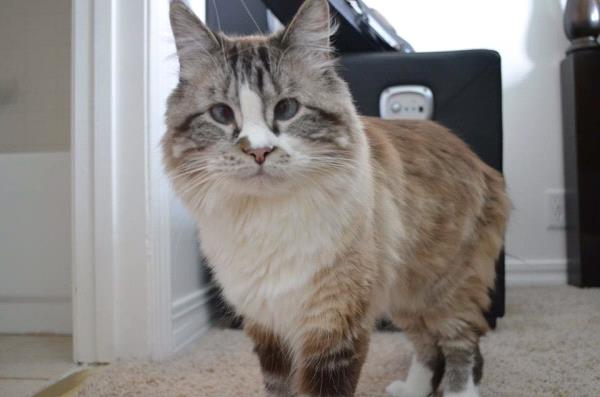 /Images/uploads/Humane Society of Utah/HSUCalendar/entries/825thumb.jpg